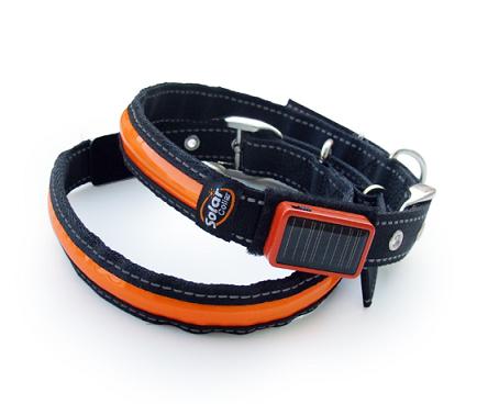 Environmental new ideas! solar dog collar.